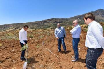 Plantación de 4.400 almendreros, nogales, higueras y olivos en Valsequillo (Foto TA)